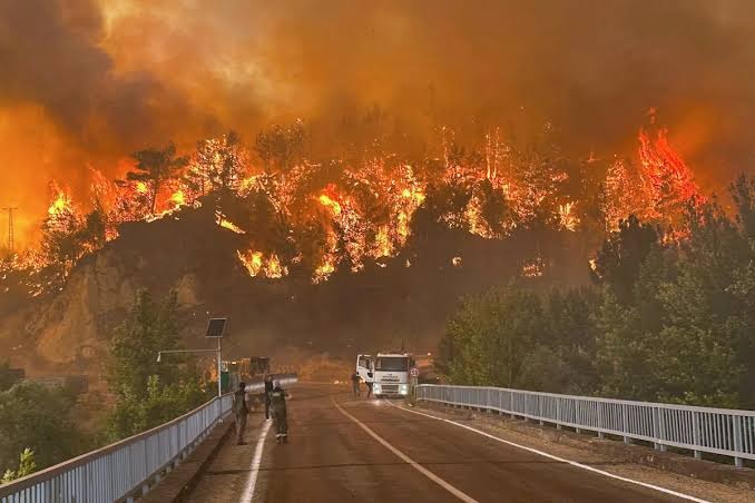 Europa enfrenta prolongación de ola de calor e incendios forestales