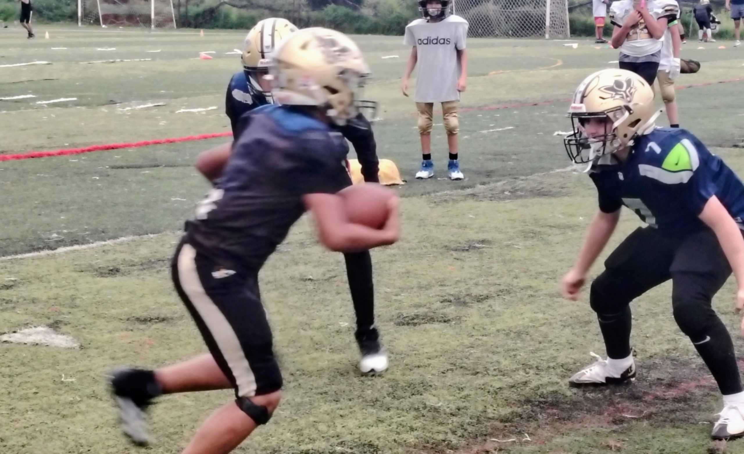 Zorros Dorados recibe a Guerreros en temporada infantil de ONEFA