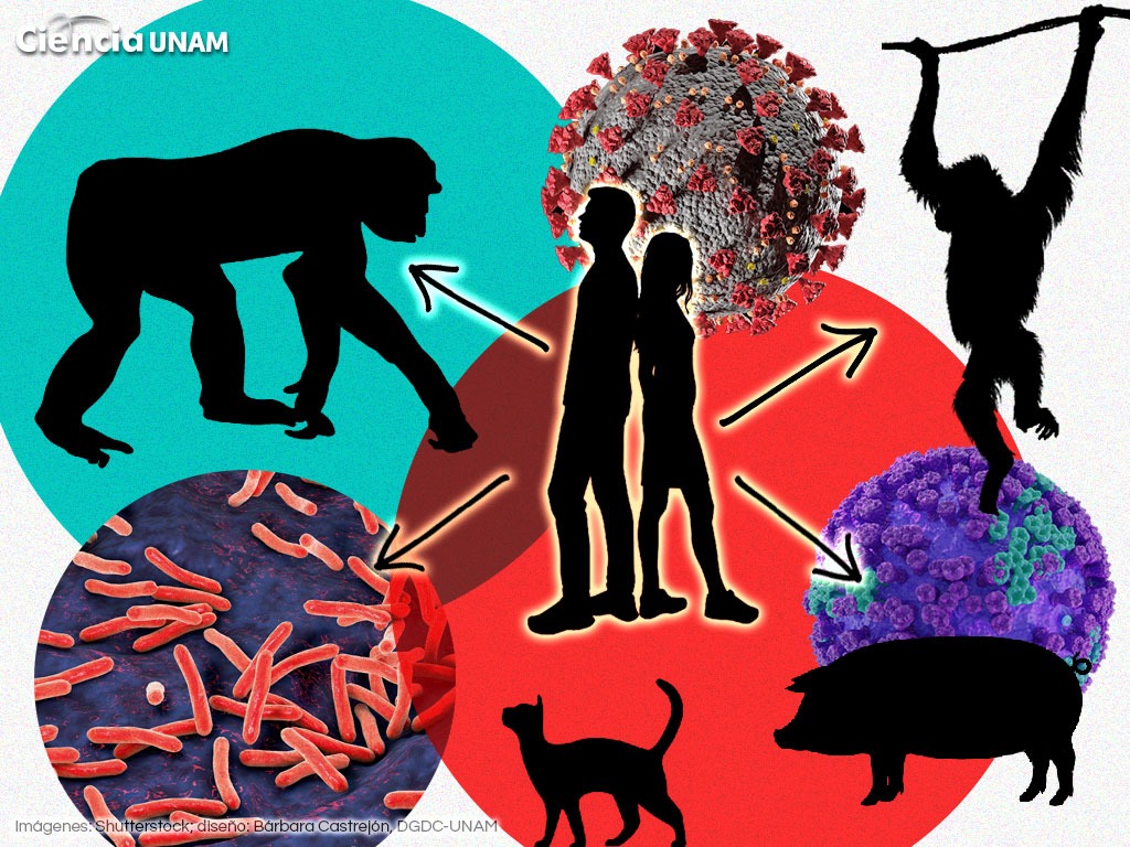 Hoy, Día Mundial de las Zoonosis
