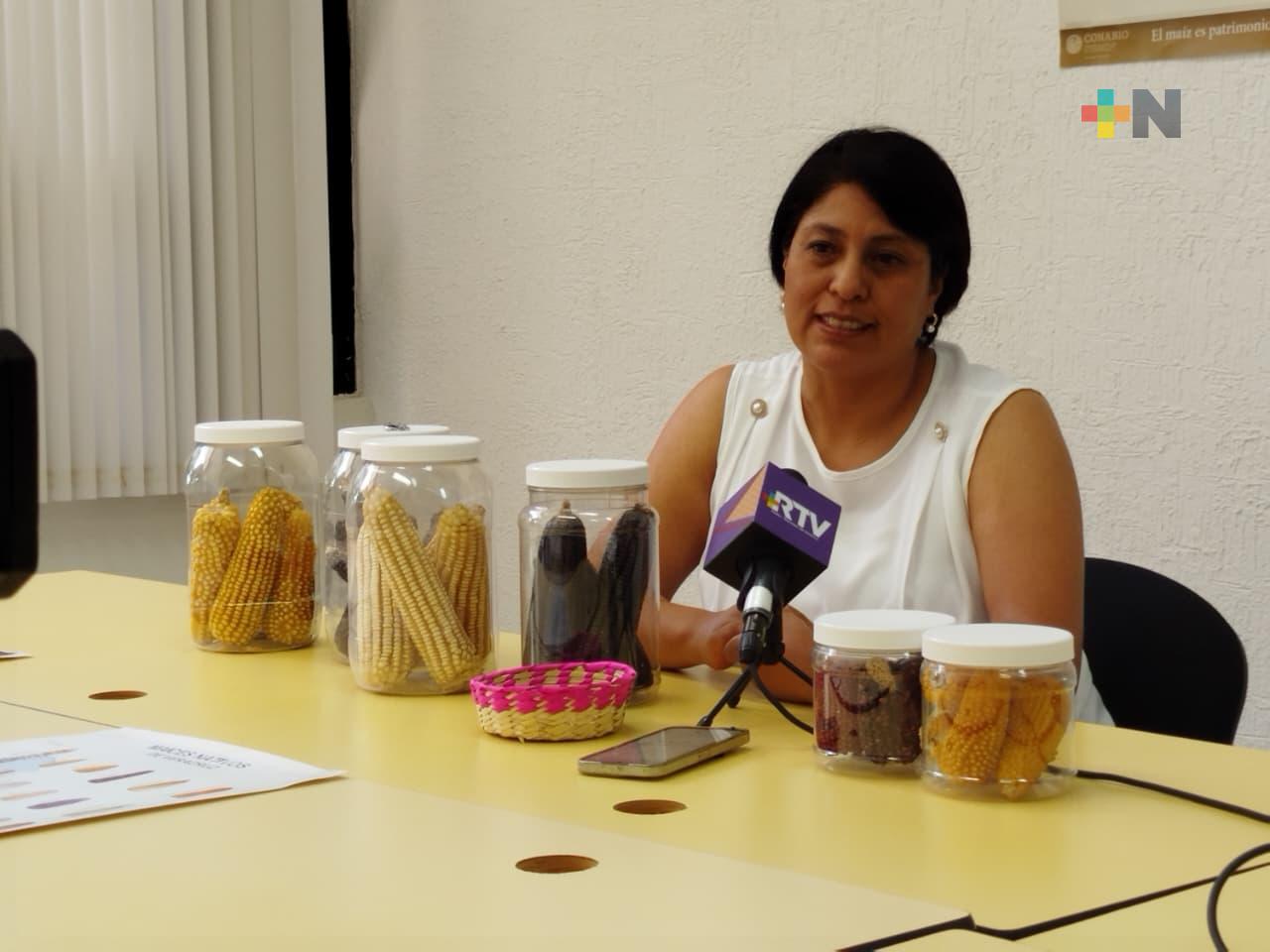 En Veracruz se encuentran 26 razas nativas de maíz