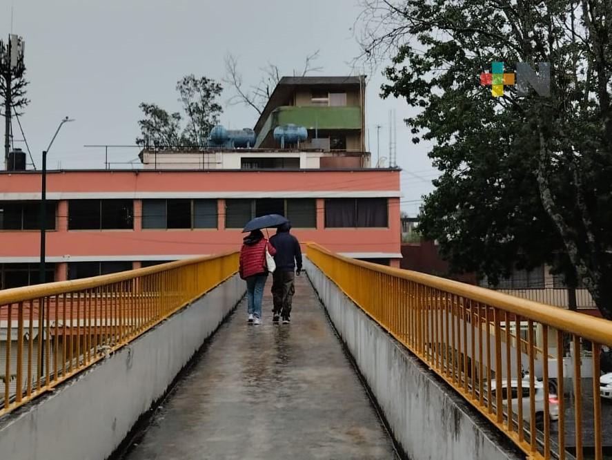 Ambiente caluroso con lluvias principalmente en zonas montañosas y cuencas del sur de Veracruz