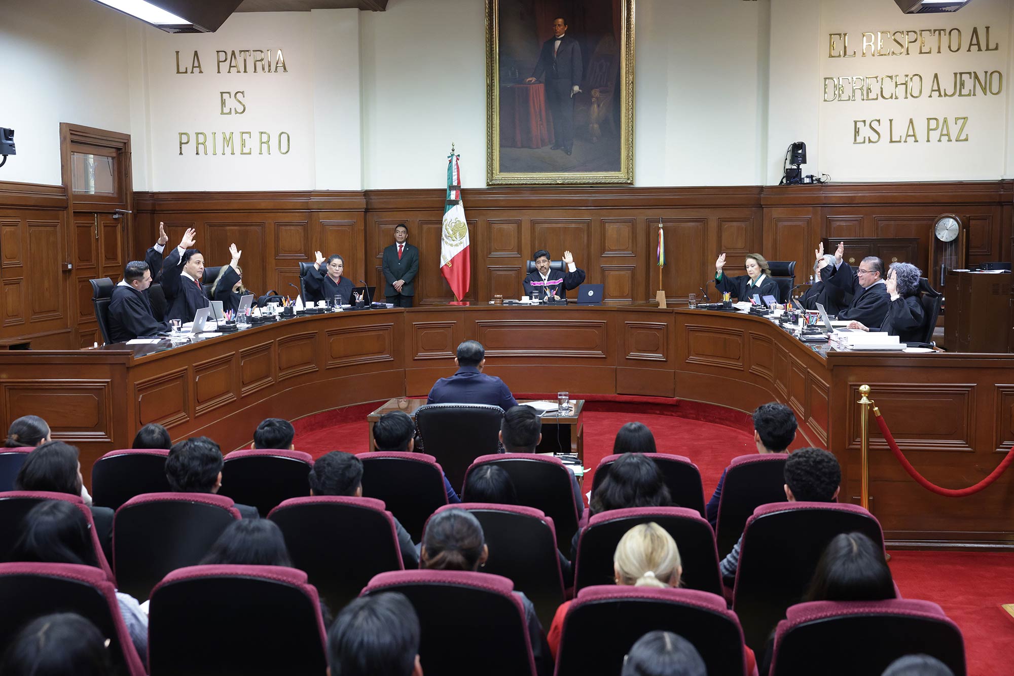 Analiza SCJN prohibición de espectáculos marinos