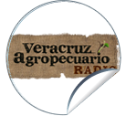 Abejas nativas. Veracruz Agropecuario