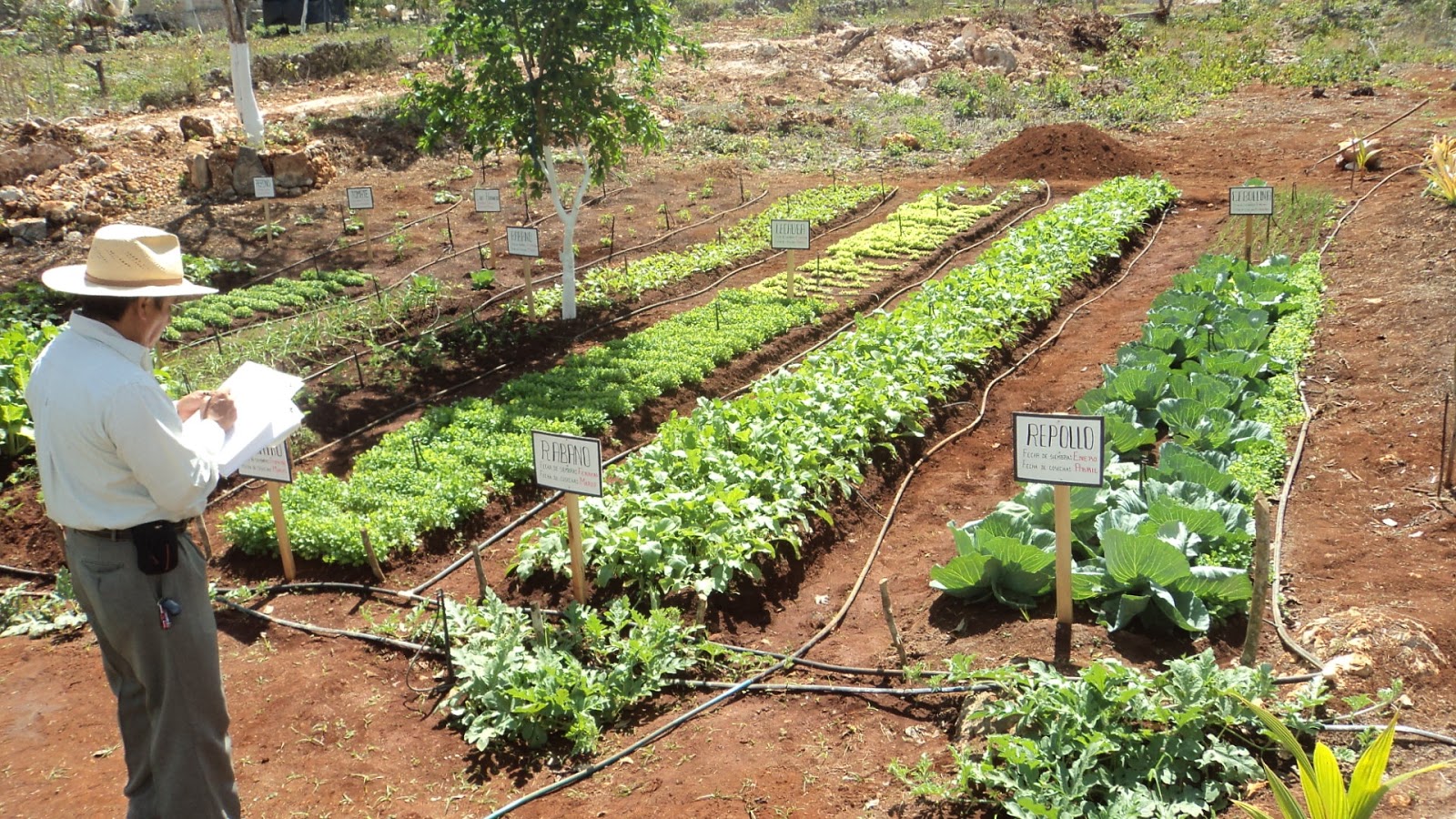 Educación tecnológica agropecuaria