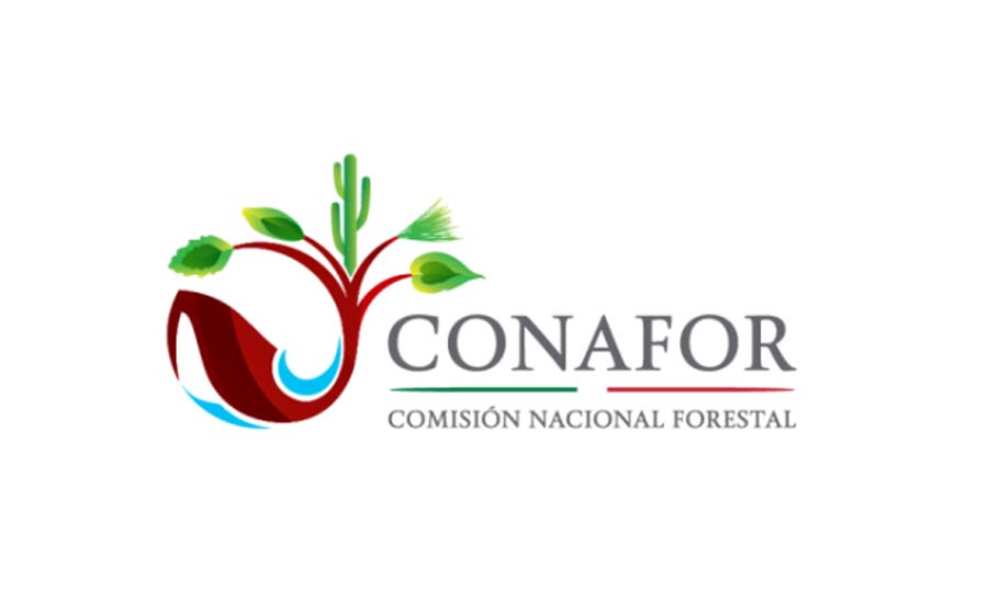 13 años de la CONAFOR. Veracruz Agropecuario