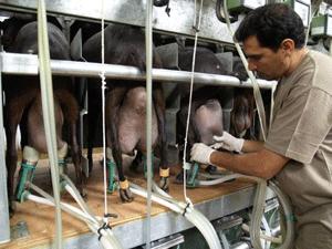 Producción de leche en el trópico