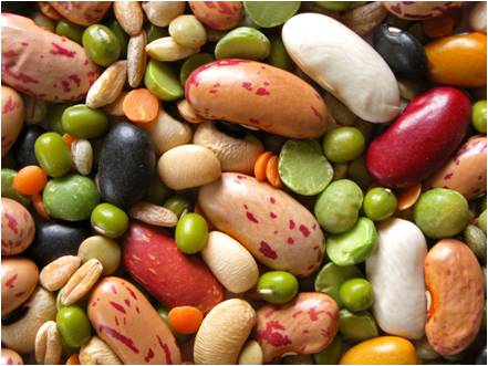 Leguminosas, alternativa de alimentación para ganado