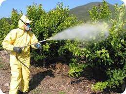 Toxicología de plaguicidas