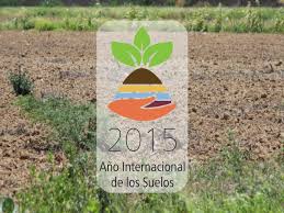 2015, año internacional de los suelos