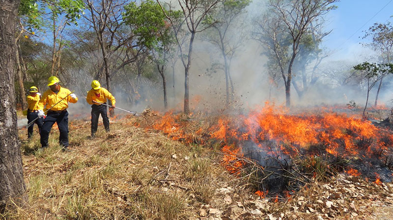 Inicio de temporada de incendios forestales