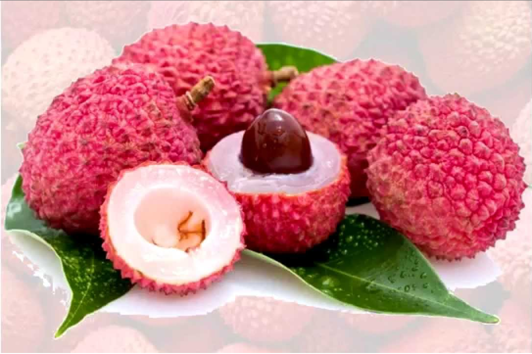 Producción de Litchi en Veracruz