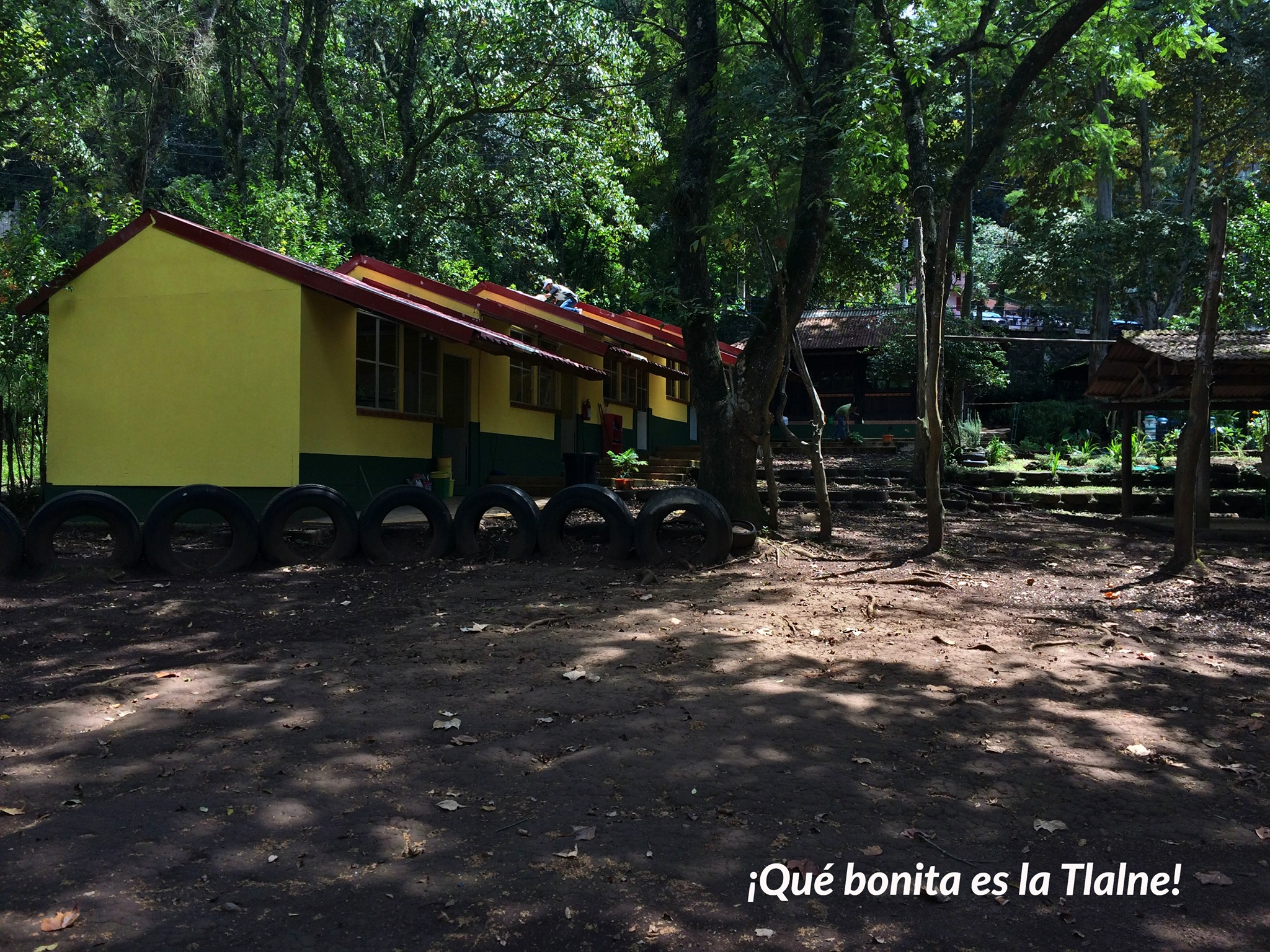 Tlalnecapam: la escuela en el bosque