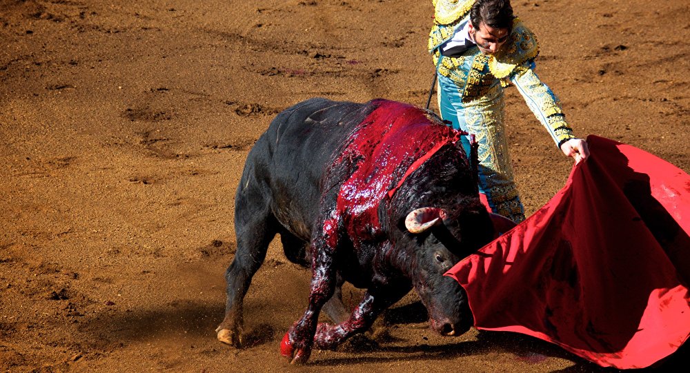 Corridas de toros y peleas de gallos. De la tradición a la reflexión.