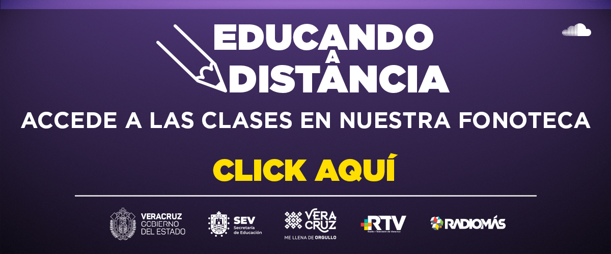 Educando a distancia