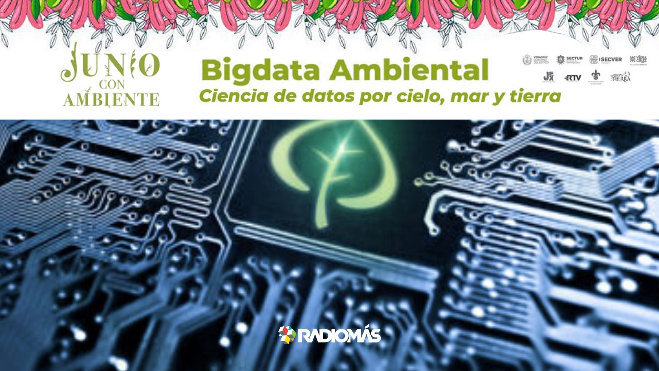 Bigdata ambiental: ciencia de datos por cielo, mar y tierra