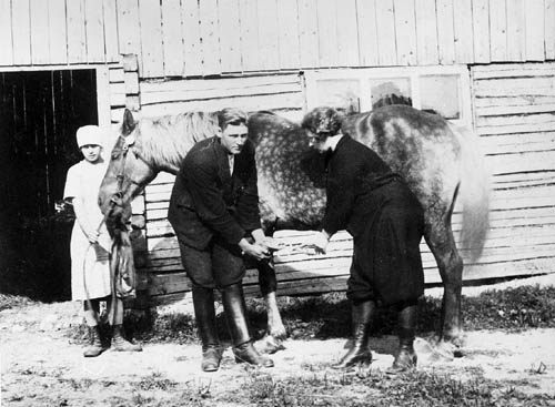 Agnes Sjöberg, la primera mujer veterinaria en la universidad de Dresde