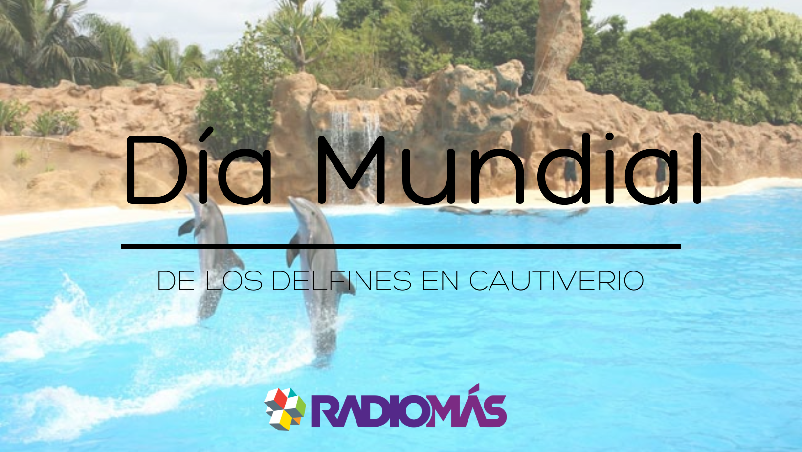 Día Mundial de los Delfines en Cautiverio