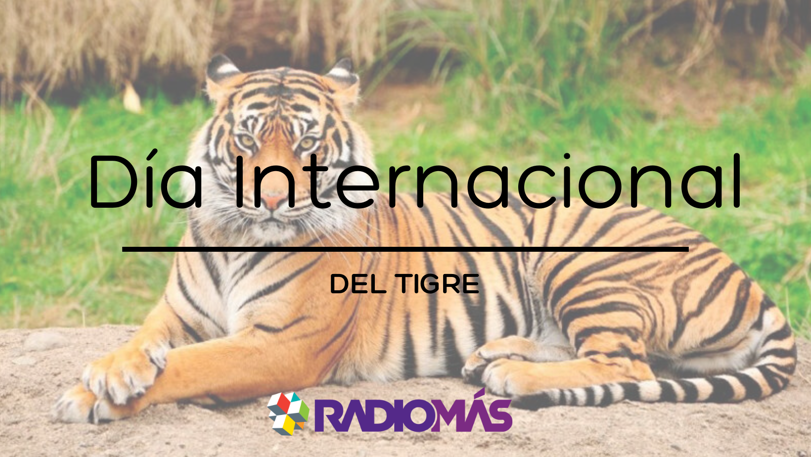 Día internacional del Tigre