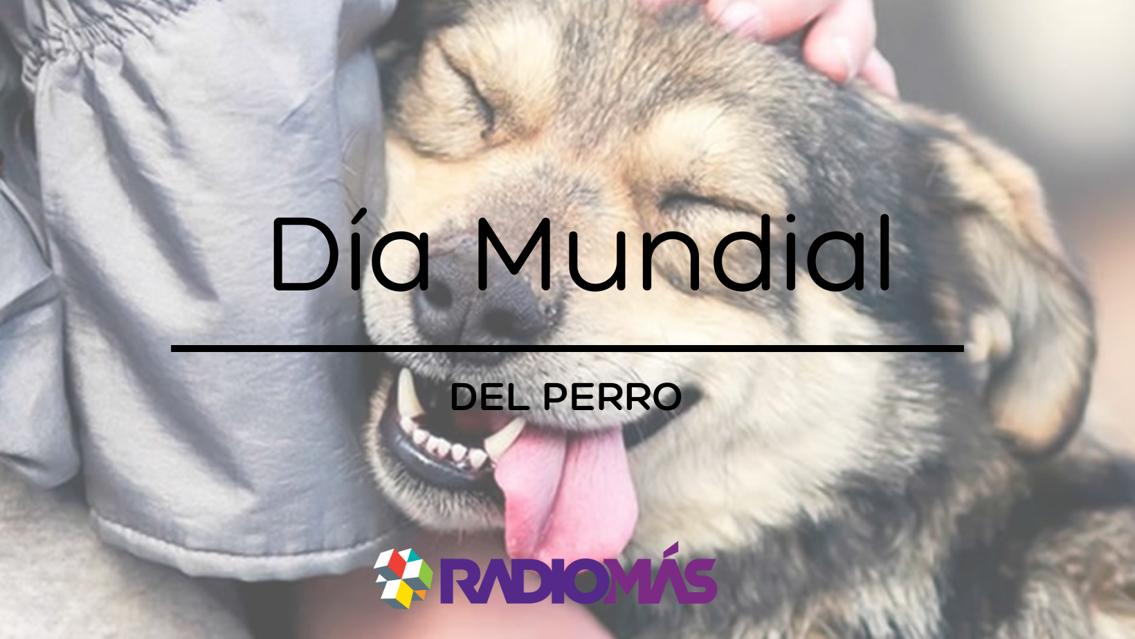 Dia Mundial del Perro