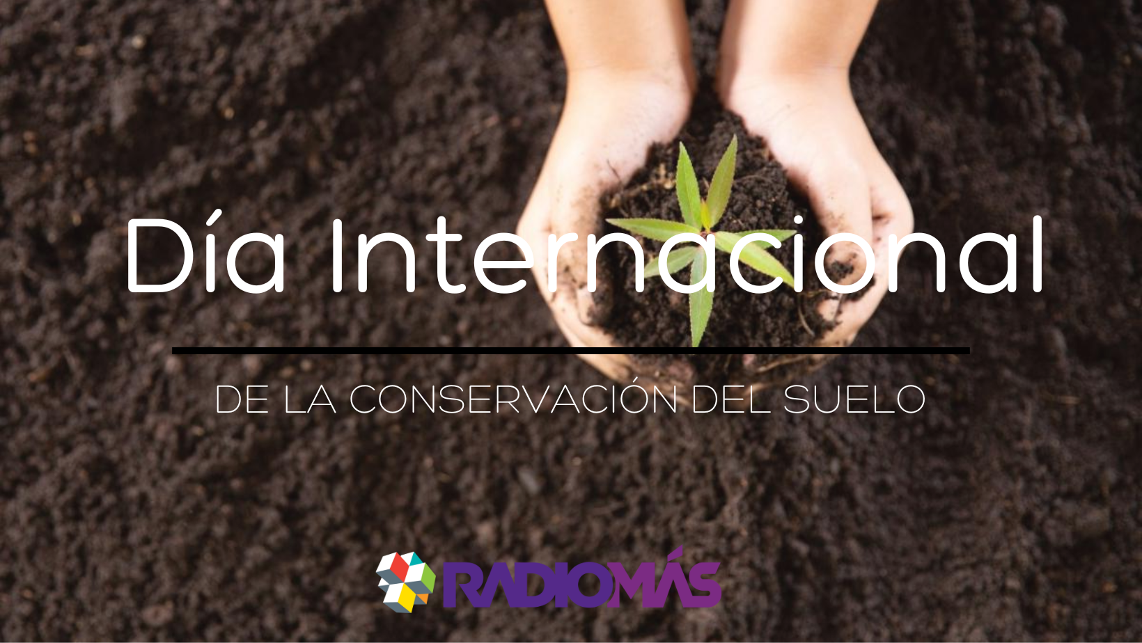 Día Internacional de la Conservación del Suelo