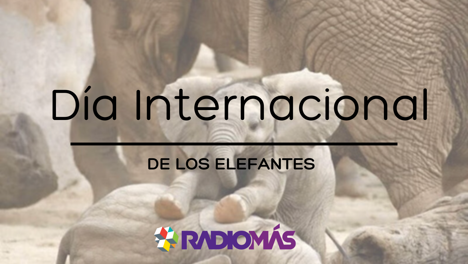 Día Internacional de los elefantes