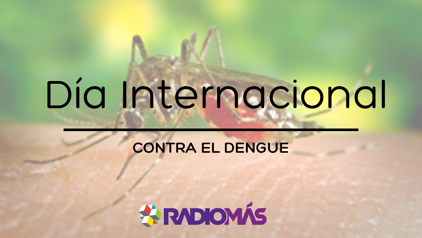 Día internacional contra el dengue