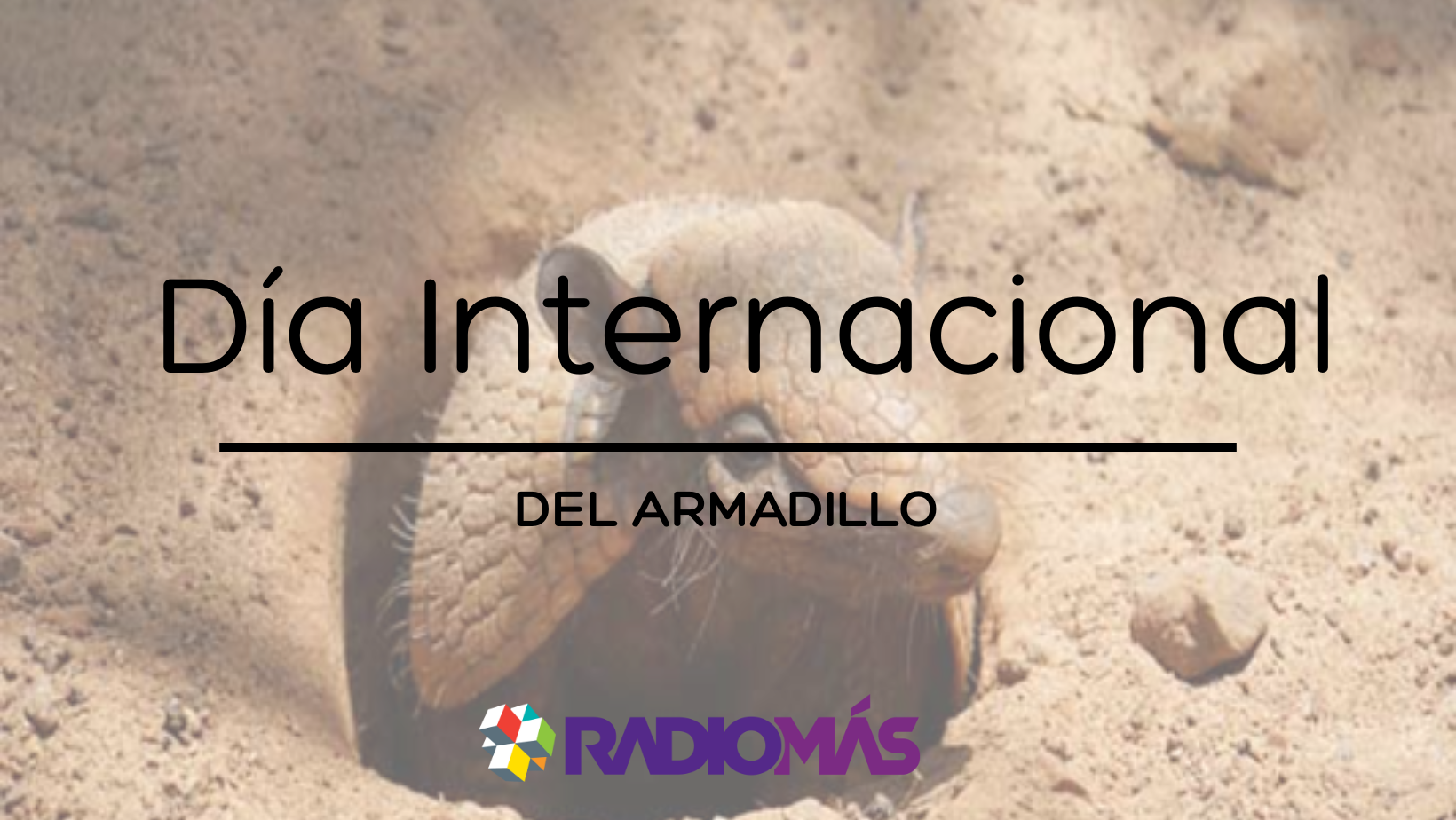 Día Internacional del Armadillo