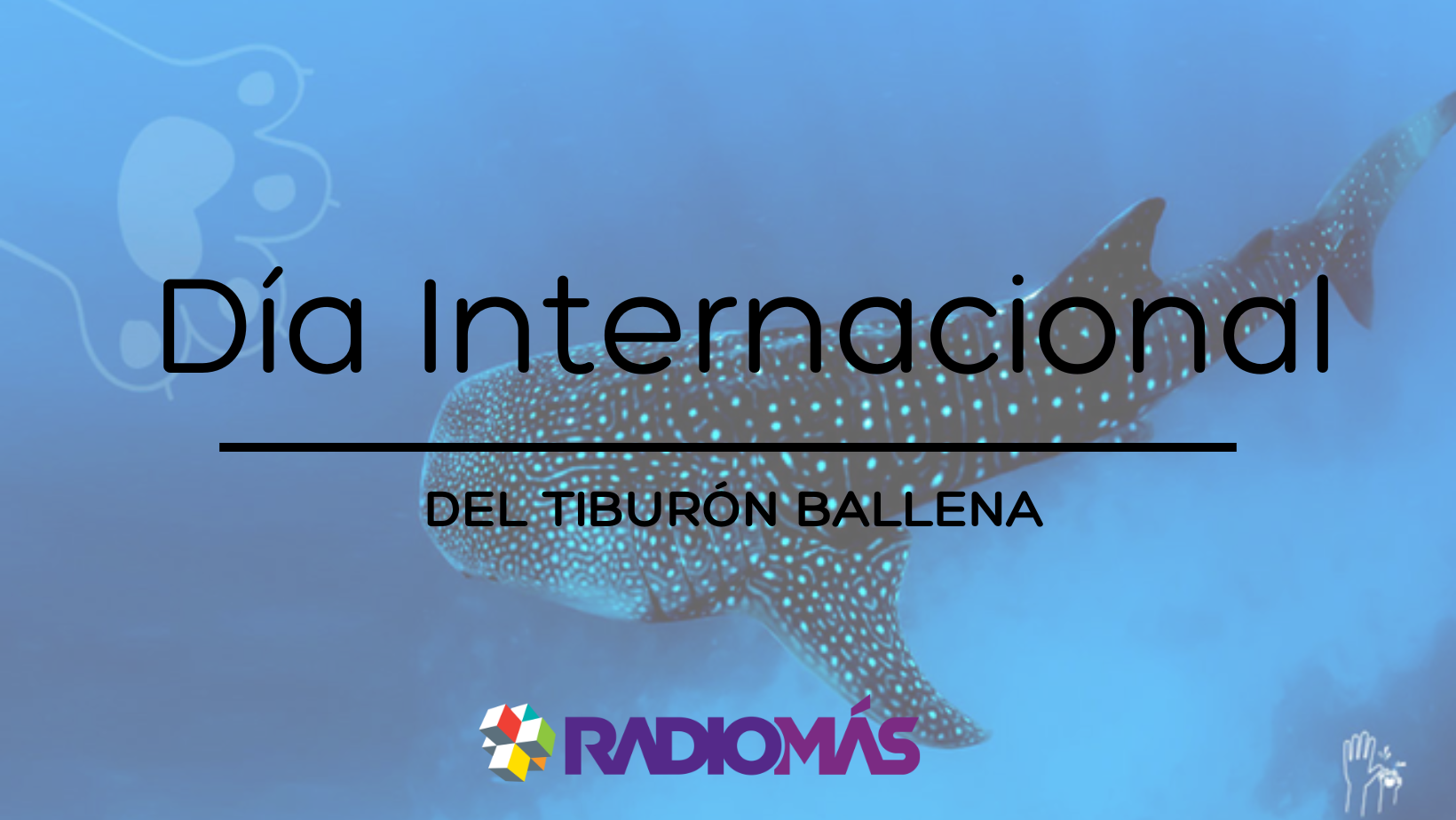 Día Internacional del Tiburón Ballena